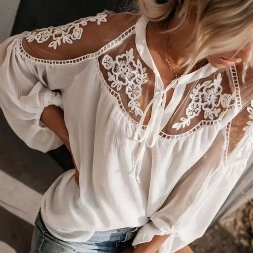 Embroidered Mesh Top Blouse